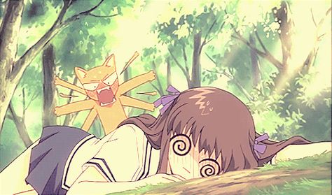 giphy (49) Fruit Basket Anime Kyo, Kyo X Tohru, Fruit Basket Anime, Kyo And Tohru, Basket Anime, Fruits Basket, Fruit Basket, An Anime, A Cat