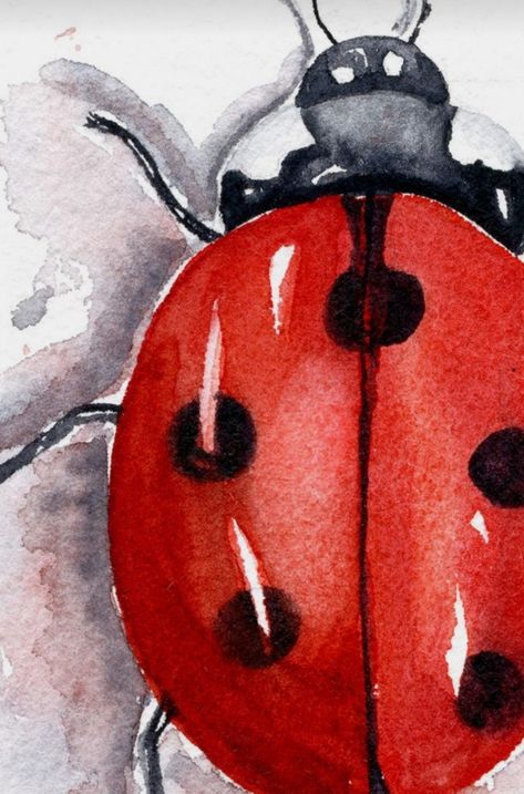 Ladybug Insect, Ladybug Art, Art Time, Insect Art, Watercolor Inspiration, Watercolour Tutorials, Water Painting, Ink Illustrations, Dog Drawing