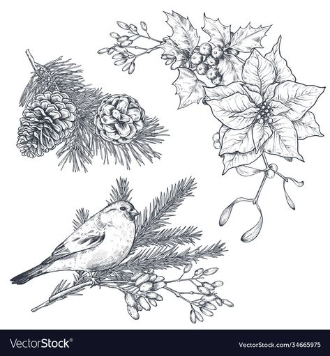 Winter Flowers Illustration, Bird Black And White, White Christmas Card, Window Christmas, Bullet Journal 2019, Black And White Vector, Ornaments Homemade, Christmas Frame, Christmas Floral Arrangements