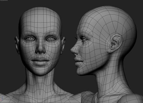 Face Topology, 3d Anatomy, Maya Modeling, Facial Anatomy, Head Anatomy, 3d Karakter, Face Anatomy, Character Model Sheet, 3d Texture