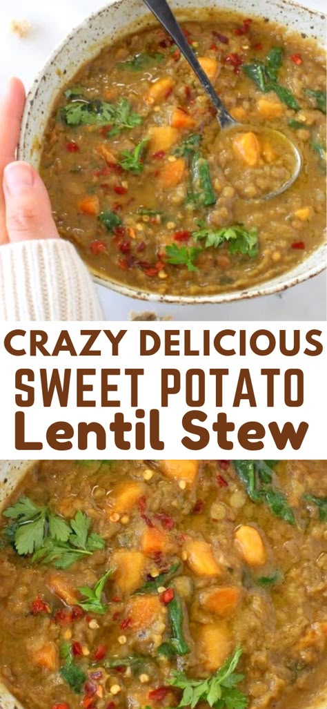 Lentil And Potato Stew, Stew With Lentils, Vegan Lentil Stew Crockpot, Easy Curry Lentil Recipes, Sweet Potato And Lentil Stew, Sweet Potato And Lentil Chili, Moroccan Sweet Potato Lentil Stew, Beans And Sweet Potato Recipe, Lentils With Sweet Potato