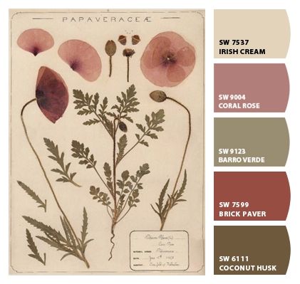 Color Scheme With Burgundy, Victorian Bedroom Colour Schemes, Irish Cream Sherwin Williams, Cottage Core Colors Pallet, Cottagecore Paint Palette, Cottage Colors Palette, Cottagecore Wall Colors, Vintage Paint Colors Colour Palettes, Cottagecore Color Palette Sherwin Williams