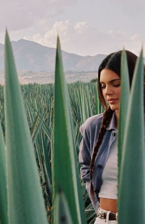 Tequila Jalisco Photoshoot, Model Aesthetic, Agaves, Kendall And Kylie Jenner, Street Photo, Horse Girl, Kendall + Kylie, Mexico Travel, Kendall Jenner