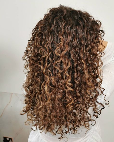 Pintura Highlights Curly Brown, Natural Balayage Curly Hair, Curly Hair Chestnut Brown, Caramel Balayage Brunette Curly Hair, Naturally Curly Balayage, Brown Curly Hair With Light Brown Highlights, Light Brown Hair With Highlights Caramel Honey Brunettes Curly, Curly Hair Highlights And Lowlights Caramel, Brown Curly Hair Balayage