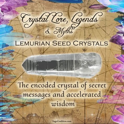 Perhaps the most famous of all Lemurian crystals are Lemurian seed crystals, implanted with wisdom by high priests and priestesses set to… History Of Crystals, Lumerian Seed Crystal Meaning, Lemurian Starseed, Lemurian Crystal Meaning, Crystal Seashells, Lemurian Crystal, High Priest, Angel Cards, Circle Of Life