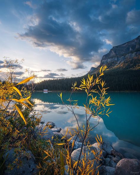 Serene Landscape, Lake Louise, Canadian Rockies, Alberta Canada, Morning Light, Fall Foliage, Nature Lovers, Nature Lover, Color Splash