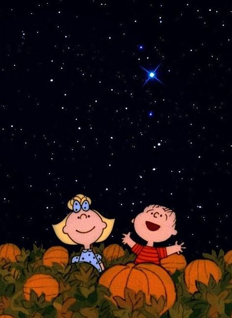 The Great Pumpkin Charlie Brown, Great Pumpkin Charlie Brown, It's The Great Pumpkin, Pumpkin Wallpaper, Peanuts Halloween, Charlie Brown Halloween, The Great Pumpkin, Snoopy Halloween, Great Pumpkin