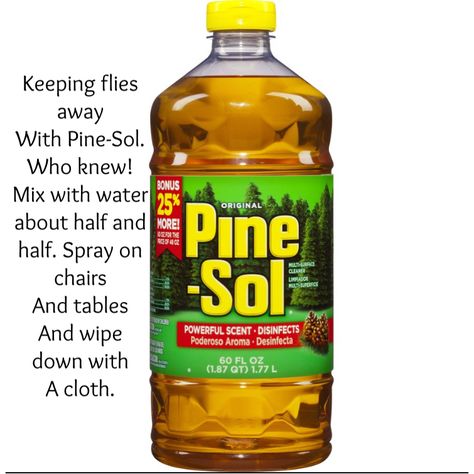 Pine-sol keeps the flies away. Who knew! Pinesol Uses Life Hacks, Pine Sol For Flies, Pine Sol Hacks, Diy Pine Sol Cleaner, Pine Sol Fly Repellent, Fly Repellant Diy, Insect Repellent Plants, Pine Sol, How To Remove Pimples