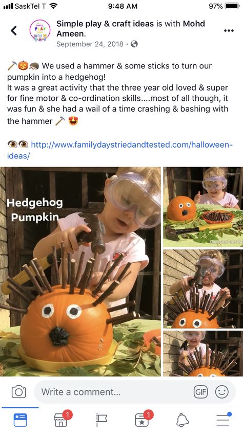 Hedgehog Pumpkin, Pumpkin Activity, Pumpkin Family, Pumpkin Activities, Halloween Preschool, Forest School, Autumn Crafts, Homeschool Activities, Toddler Life