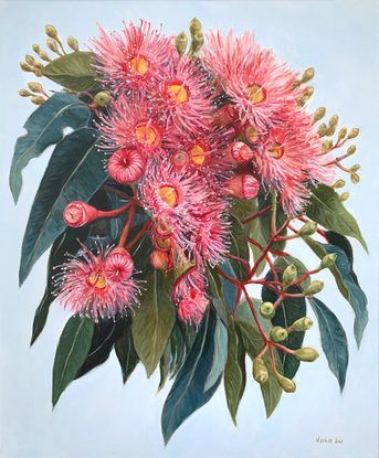 Pink Gum Blossoms in Summer by Vickie Liu Acrylic Still Life, Life Flower, Gum Tree, Australian Natives, Australian Flowers, Botanical Artwork, Flower Nature, Australian Native, Buy Art Online