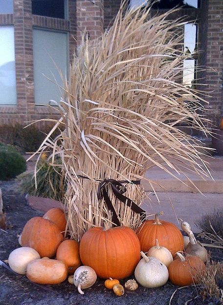 * Grass Growing, Outside Fall Decor, Harvest Party, Harvest Thanksgiving, Autumn Magic, Autumn Decorating, Fall Outdoor Decor, Harvest Decorations, Autumn Harvest