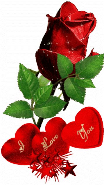 Kiss Me Love, Rose Belle, Single Red Rose, Love You Gif, Good Morning Roses, Rose Flower Wallpaper, I Love You Pictures, Love You Images, Hearts And Roses