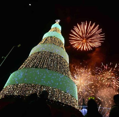 Árbol de Navidad de El Salvador destaca entre los "más lindos del mundo", según RankingCNN | elsalvador.com El Salvador Travel, Central America, Christmas Traditions, Perfect Christmas, Eiffel Tower, Vision Board, Tower, Christmas, Travel