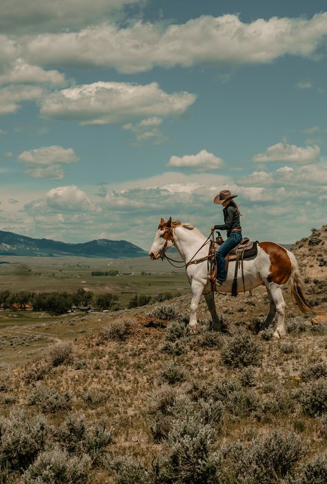 Buffalo Wyoming, Wyoming Ranch, Ranch Vacation, Cowboy Ranch, Western Photography, Western Life, Guest Ranch, Cattle Ranching, Western Riding