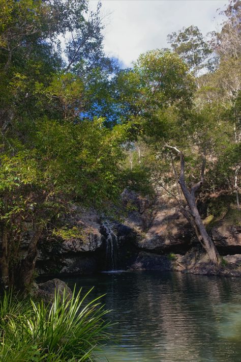 Kondalilla Falls, Waterfall Australia, Bali Waterfall Aesthetic, Hawaii Waterfall Aesthetic, Datanla Waterfall, Diyaluma Falls Sri Lanka, Hiking Aesthetic, Life Board, Waterfall Hikes