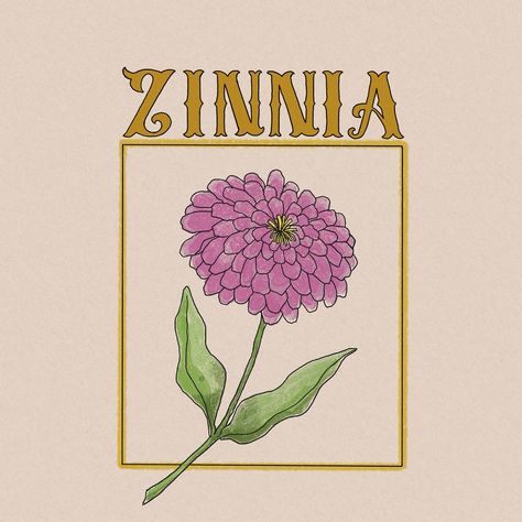 Prompt 26! Zinnias are probably the kind of flowers I'd love to have go wild in the garden. This year, other than foxgloves, a whole bunch of daisies sprouted too. I should get some seeds and scatter them around 😊 #drawsimpledaily #procreate #procreateillustration #zinnias Zinnia Drawing Simple, Zinnia Drawing, Bunch Of Daisies, Drawing Simple, Go Wild, In The Garden, The Garden, This Year, Seeds