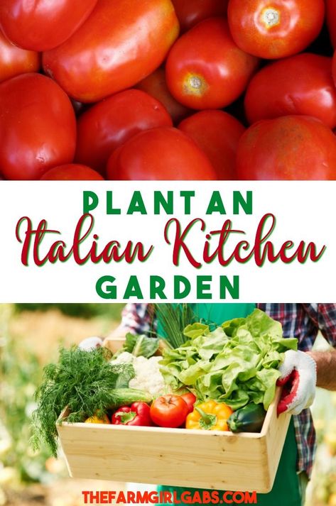 From spaghetti sauce to your favorite pizza toppings, an Italian Kitchen Garden has all the produce and herbs to create an Italian feast! #garden #vegetables #vegetablegardening #gardeningtips #gardening Italian Feast, Italy Villa, Italian Vegetables, Garden Vegetables, Italian Garden, Tomato Garden, Mediterranean Garden, Italian Kitchen, Vegetable Garden Design