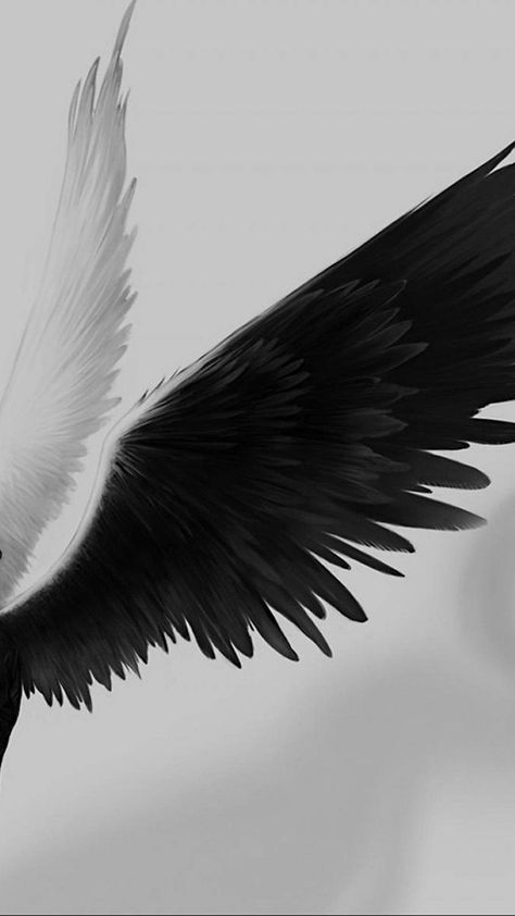 Black Wings Aesthetic, Angel Wings Aesthetic, Dark Angel Wings, 천사와 악마, Black Swan Movie, Die Wallpaper, Swan Wings, Greek Goddess Art, Swan Wallpaper