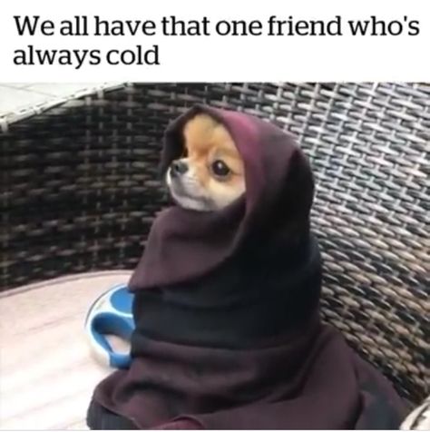 We all have that one friend who's always cold Cold Humor, Cold Jokes, Avengers Fan Art, Avengers Quotes, Avengers Pictures, Avengers Imagines, Always Cold, Mom Memes, Avengers Memes