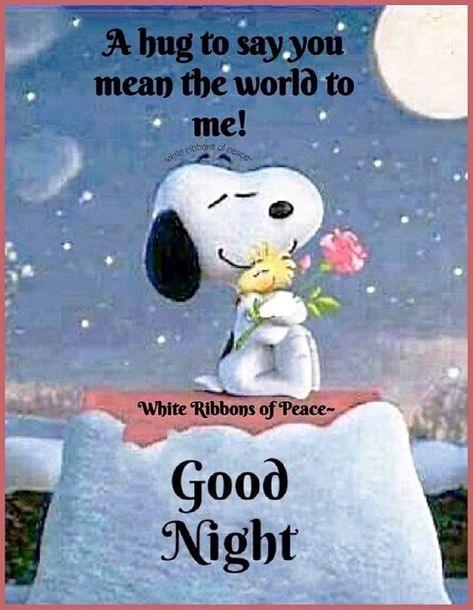 Snoopy Hugs, Snoopy Hug, Son Quotes From Mom, You Mean The World To Me, Son Quotes, Online Friends, Night Quotes, Good Night Quotes, Love Notes