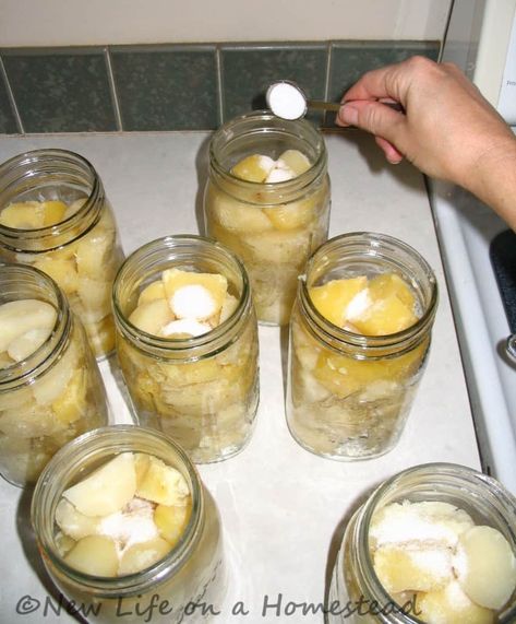 Can Potatoes Recipes, Canning Cabbage, Can Potatoes, Canning Potatoes, Hot Water Bath Canning, Water Bath Canning Recipes, Canning Salt, Homestead Blog, Pressure Canning Recipes