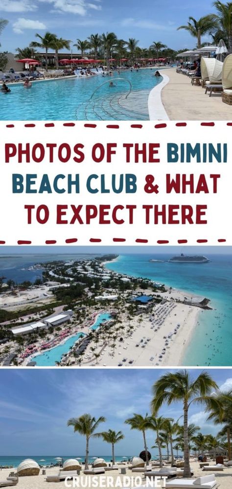 Bahamas Excursions, Virgin Cruises, Bimini Islands, Bimini Bahamas, Bahamas Island, Cruise Planning, Cruise Excursions, Bahamas Cruise, Holland America