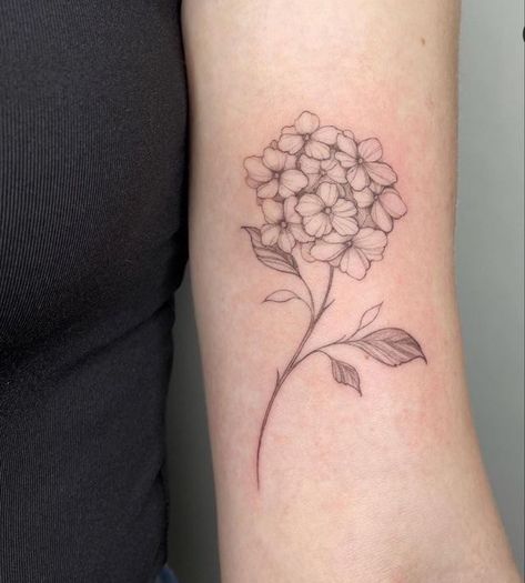 Hydrangea Tattoo Bouquet, Dainty Hydrangea Tattoo, White Hydrangea Tattoo, Hydrangeas Tattoo, Hydrangea Drawing, Geranium Tattoo, Small Diamond Tattoo, Brown Tattoo Ink, Hydrangea Tattoo