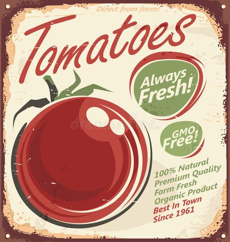 Tomato Poster, Tomato Vector, Old Paper Texture, Signature Tablecloth, Tomato Farming, Promotional Banners, Food Backgrounds, Motif Vintage, Advertising Poster