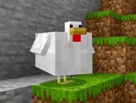 Minecraft Chicken, Cool Things To Build, Minecraft Images, Not Losing Weight, Chicken Pictures, Iphone Stickers, Minecraft Mobs, Big Boi, Cut Animals