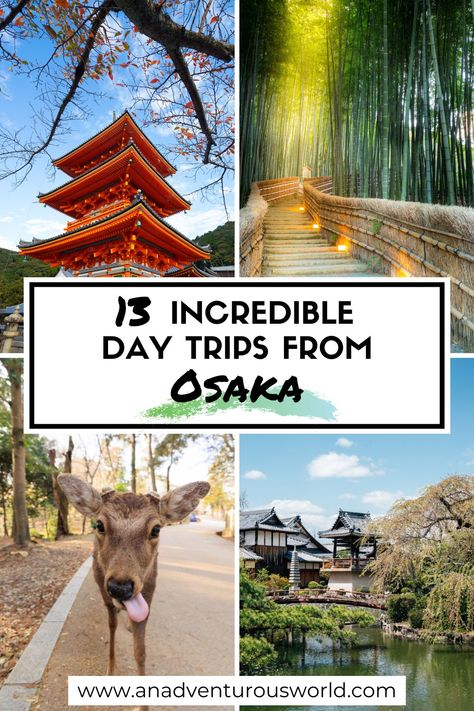 From the trails of the Arashiyama Bamboo Forest to the historic sights of Kyoto, here are the best day trips from Osaka you need to do! #osaka #osakajapan #daytripsfromosaka #daytoursfromosaka #toursfromosaka #placestovisitnearosaka #thingstodonearosaka #wheretogonearosaka #osakaguide #osakaitinerary Osaka Day Trips, Day Trips From Osaka, Arashiyama Bamboo Forest, Osaka Itinerary, Wakayama Japan, Japan Itinerary, Travel Japan, One Day Trip, Japan Trip