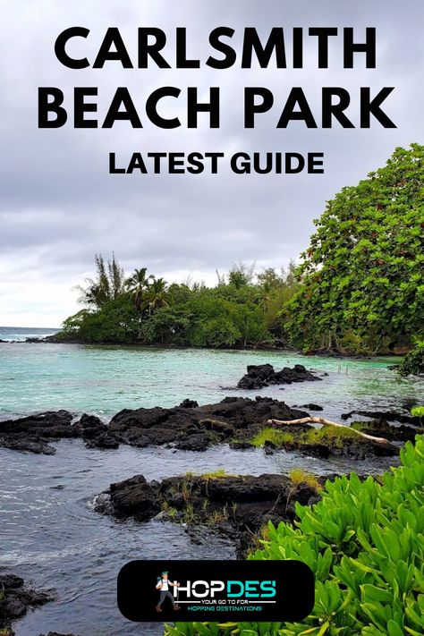 Discover the ultimate guide to Carlsmith Beach Park, featuring the latest updates, tips, and insights for an unforgettable beach adventure. Carlsmith Beach Park, Beach Hawaii, Kona Hawaii, Beach Park, Beach Adventure, Big Island Hawaii, Hawaii Beaches, Travel Board, Hawaiian Islands