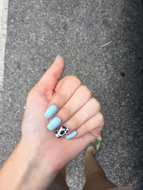 Mint Blue Nails Acrylic, Light Blue Cow Print Nails, Blue Cow Print Nails Acrylic, Nails Ideas Cow Print, Blue Nails With Cow Print, Light Blue Western Nails, Farm Nails Designs, Nail Ideas Light Blue, Blue Cow Print Nails