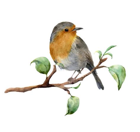 Download Watercolor Robin Sitting On Tree Branch With Leaves. Hand Painted Spring Illustration With Bird Isolated On White Stock Illustration - Illustration of background, paint: 85560444 Tree Branch With Leaves, Watercolor Robin, Paint Birds, Branch With Leaves, Spring Illustration, Birds Embroidery Designs, Canvas Art Projects, Winter Illustration, Free Printable Art