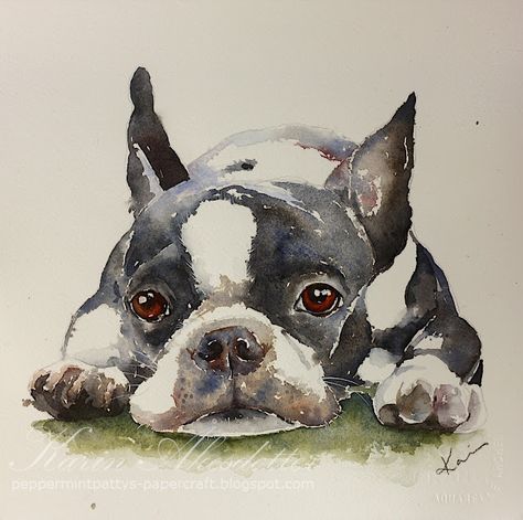 Peppermint Patty's Papercraft: Watercolor Boston Terrier How To Paint A Boston Terrier, Watercolor Boston Terrier, Theo Tattoo, Boston Terrier Painting, Boston Terrier Illustration, Boston Terrier Art, Mirror Magic, Collage Quilts, Boston Terrier Lover