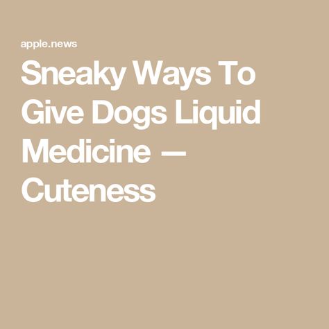 Sneaky Ways To Give Dogs Liquid Medicine — Cuteness Dog Medicine, Medication For Dogs, Dog Needs, How To Give, A Dog, Medicine, Medical, Dogs