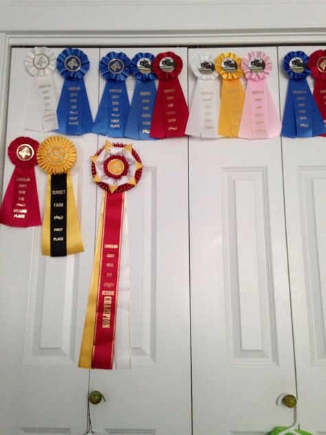 Fancy way to display your horse show ribbons! Horse Ribbons Display Ideas, Horse Ribbon Display, Horse Awards, Show Ribbon Display, Horse Show Ribbons, Horse Ribbons, Grey Horses, Horse Room, Ribbon Display