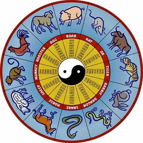 One of the most important aspects of the Chinese New Year is it’s representation of each year through a different animal, twelve to be exact... Chinese Gender Chart, 12 Chinese Zodiac Signs, Chinese Numerology, Chinese New Year Traditions, New Year Traditions, Rat Dog, Zodiac Love Compatibility, Pregnancy Calculator, Chinese Holidays