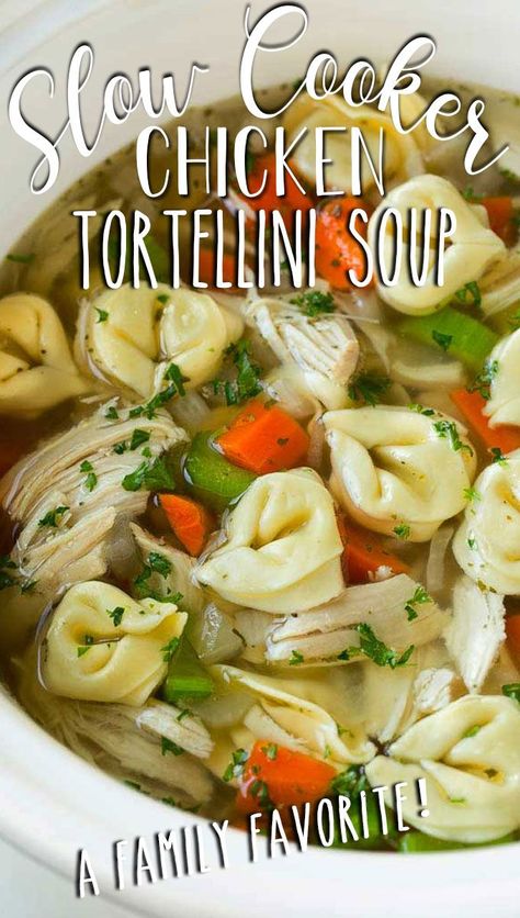 This slow cooker chicken tortellini soup is full of chicken, veggies and cheese tortellini, all simmered together in the crock pot. Chicken Tortillini Soup, Chicken Tortellini Soup Crock Pot, Slow Cooker Chicken Tortellini, Crockpot Tortellini, Slow Cooker Tortellini Soup, Crockpot Soups, Chicken Tortellini Soup, Soup Ideas, Chicken Tortellini