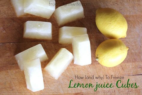 With this quick tutorial for how to freeze lemon juice, you can ensure that you'll never have lemons going bad again! Freeze Lemon Juice, Lemon Juice Recipes, Best Greek Salad, Frozen Juice, Frozen Lemon, Farm Wife, Freezer Cooking, Lemon Recipes, How To Squeeze Lemons