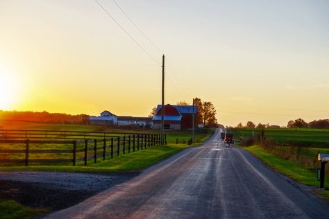 This 90-mile scenic loop promises incredible scenery, local charm, and an unforgettable insight into Northern Indiana. Travel Indiana, Amish Culture, Indiana Travel, Northern Indiana, Scenic Travel, Tattoos Architecture, Animals Tattoos, Chicago Travel, Drive Through