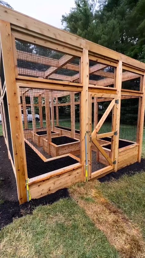 Fenced Vegetable Garden, Introducing Me, Cozy Garden, Backyard Greenhouse, Veg Garden, Vegetable Garden Design, Backyard Garden Design, Summer Solstice, Garden Layout