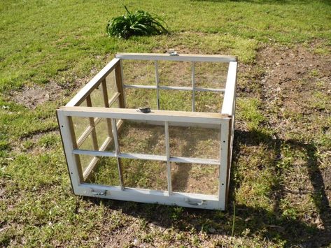 upcycle windows into garden sructure Greenhouses Diy, Small Garden Greenhouse, Old Window Greenhouse, Hawaii Garden, Windows Repurposed, Diy Mini Greenhouse, Old Window Panes, Window Greenhouse, Old Window Projects