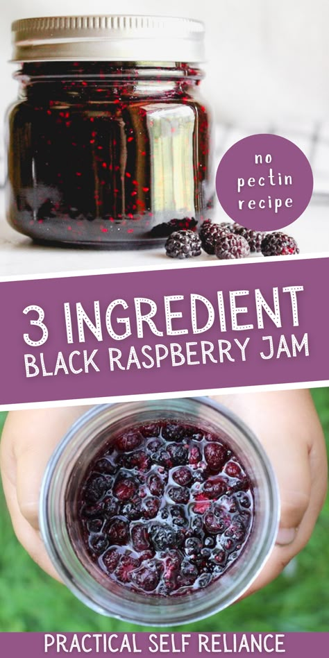 Wild Black Raspberry Jam, Black Cap Jam, Black Raspberry Canning Recipes, Black Raspberry Syrup, Blackberry Raspberry Jam, Blackcap Raspberry Recipes, Black Raspberry Freezer Jam Recipe, Canning Raspberry Jam, Black Raspberry Jelly Recipe