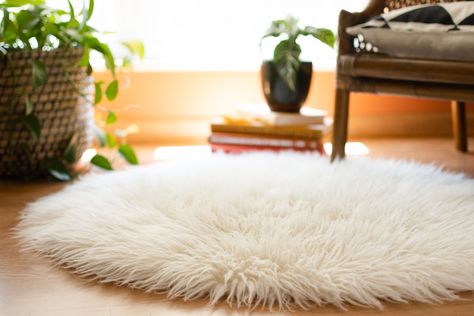 Shag rugs are warm, plush, and on-trend. Learn how to properly clean a shag rug to keep it fluffy and looking great. Clean A Shag Rug, Clean Shag Rug, Easy Home Organization, Rug Fluffy, Carpet Shampoo, Small Closets, Professional Carpet Cleaning, Shag Rugs, Clean Towels