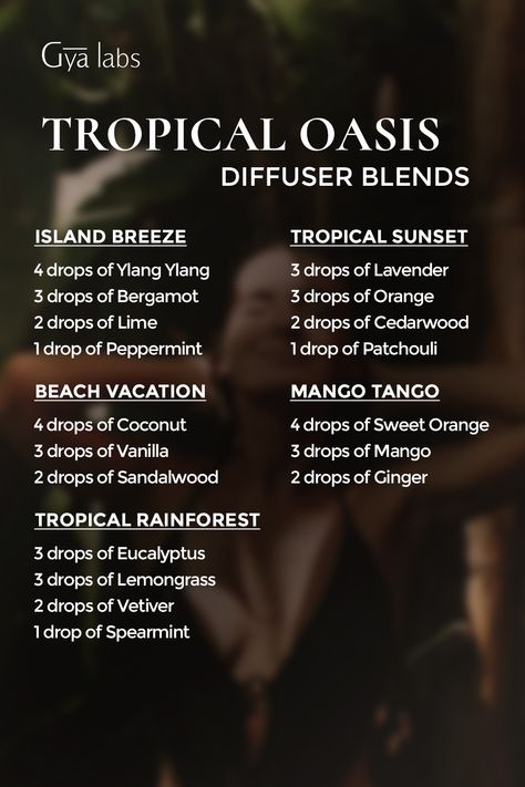 Dreaming of a tropical oasis? Dive into paradise with our exotic Tropical Oasis Diffuser Blend. Close your eyes, inhale the bliss, and let your senses sail away to sandy shores & a sun kissed day🏝️🌺 . Get yours now! https://amzn.to/3FQQsBT . #GyaLabs #UpliftYourEveryday #homeinspo #dinnerideas #essentialoilrecipes #falldiffuserblends #winterdiffuserblends #sleepdiffuserblends #springdiffuserblends #christmasdiffuserblends #diffuserecipes #oildiffuser #essentialoildiffuser #hairdiffuser #care Reed Diffuser Essential Oil Blends, Peaceful Essential Oil Blend Diffuser, Grounding Diffuser Blend Doterra, Tropical Diffuser Blends, Tropical Essential Oil Blend, Spiritual Essentials, Essential Oil Mixtures, Diffuser Scents, Summer Diffuser Blends