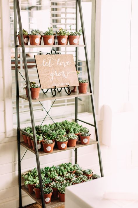 Booth Display Ideas Diy, Coral Wedding Colors, Tanaman Sukulen, Rustic Bohemian Wedding, Florist Studio, Bohemian Beach Wedding, Succulent Wedding Favors, Succulent Favors, Modern Minimalist Wedding