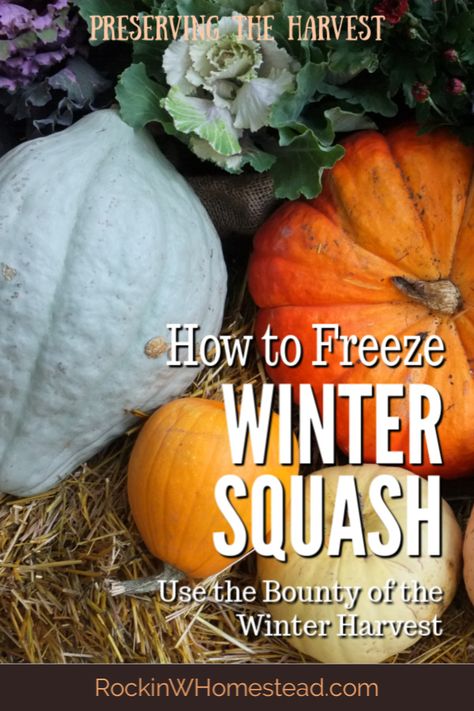 Freezing Winter Squash, How To Freeze Acorn Squash, Freezing Butternut Squash Cubes, Freeze Squash How To, Freeze Acorn Squash, Freeze Squash, Freeze Pumpkin, Freezing Pumpkin, Freezing Squash