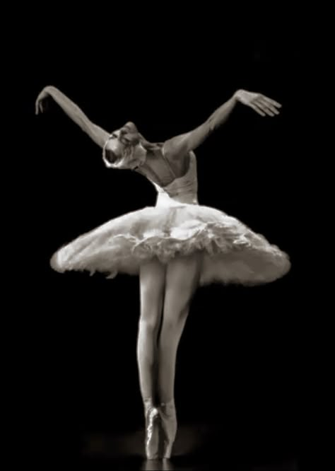 Ballet Poses Black Swan, Swan Lake Aesthetic Ballet, Ballet Aesthetic Dark, Dark Ballerina Aesthetic, Dance Aesthetic Ballet, Dark Ballet Aesthetic, Vampire Ballerina, Black And White Ballerina, Gothic Ballerina