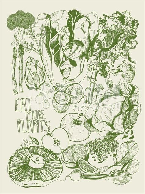 eat more plants, illustration, design, lettering, poster, kitchen, colour, mushroom Eat More Plants, Plants, Green, White, Art