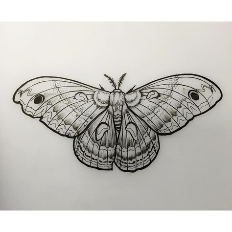 David Mushaney on Instagram: “Tomorrow's piece! 😁 #moth #linedrawing #davidmushaney #rebelmuse #linework #mothdrawing” Moth Drawing, Moth Tattoo Design, Tier Tattoo, Moth Tattoo, Butterfly Tattoos, Butterfly Tattoo Designs, Tattoo Designs And Meanings, Tattoo Stencils, Pretty Tattoos